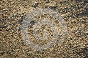 Simple texture of Mediterranean sand.