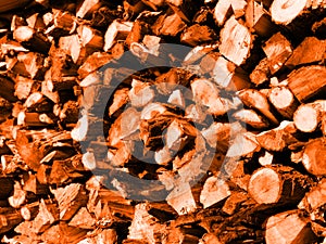 The texture of firewood laid side by side. In red photo