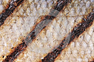 Texture of fish grill skin close up.