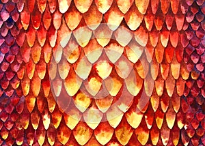 Texture of fish scales