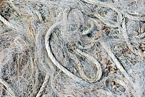 Old fishing nets