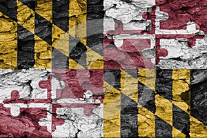 Texture of the Flag of Maryland on decorative bark.