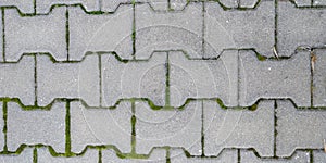 Texture of Floor with Sidewalk Stone photo