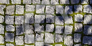 Texture of Floor with Sidewalk Stone