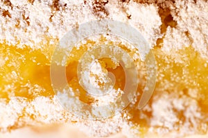 Texture of fluffy sponge cake, close up view