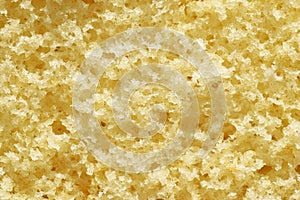 Texture of fluffy sponge cake
