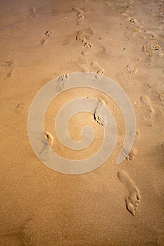 Texture of the footprints of tourists in the fine sand of the Benidorm beach as they stroll along th