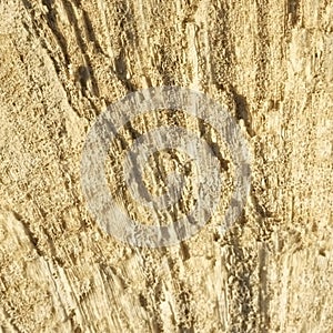 Texture formed by the corals in coastal limestone.