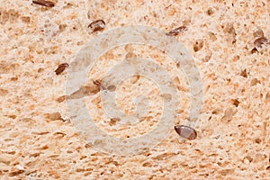 The texture of fresh bread with flax seeds. Studio macro photography.