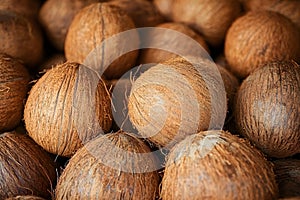 Texture of fresh coconuts, closeup. Generative AI