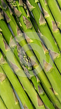 Texture of fresh green asparagus, top view.