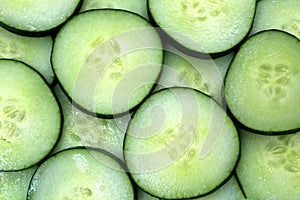 Texture of fresh green cucumber, cut into rings