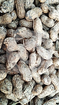 texture of freshly harvested peanuts