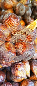 Texture of freshly harvested salak fruit from the salak garden in Jogjakarta