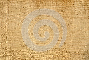 Texture of freshly sawn wood, background, closeup