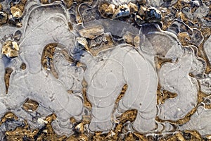 Texture of frozen puddle winter details