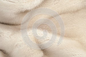 Texture, fur white (blue) mink