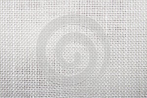 The texture of the gauze mesh.