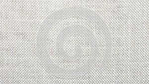 The texture of the gauze mesh.