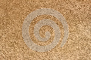 Texture of genuine leather close-up, beyge brown color print. For your background, backdrop, copy space