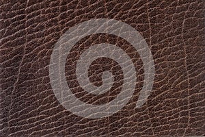 Texture of genuine leather close-up, dark brown color, background, copy space