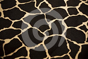 Texture of Giraffe textile.