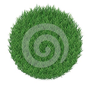 Texture of grass in a circle shape, isolated on white background.