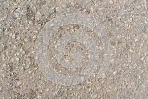 Texture gray asphalt