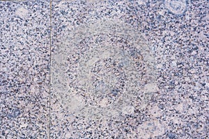 Texture of gray-brown granite tile