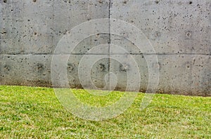 Texture of gray concrete wall with small depressions and grass