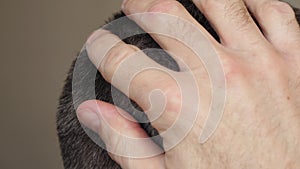 Texture of gray hair. The man touches his hands to the head with gray hair. Scalp health, trichology, and environmental