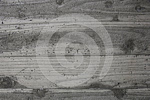 Texture gray plastered wall for background