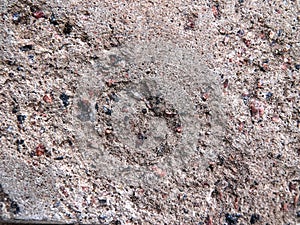 Texture, gray porous wall. rock texture. Old, rough, ruined surface.