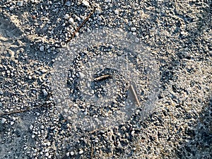 The texture of a gray stone broken, crumbling cement stone floor, walls of old reinforced concrete. The background