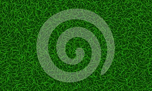 Texture of green grass. Summer vector background