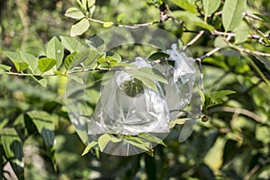 Reen leaf as background