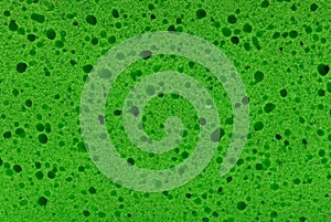 Texture of green sponge