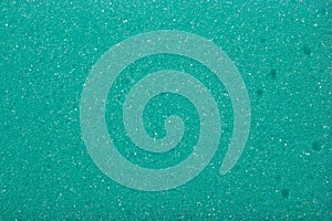 Texture of green sponge