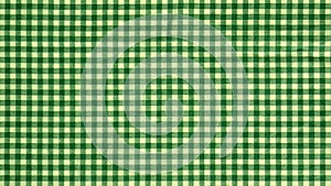 Texture green white plaid fabric real photo