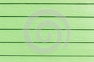 Texture of green wood