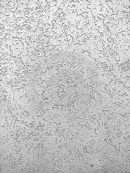 Texture of the grey plaster bark beetle on the wall. Seamless texture