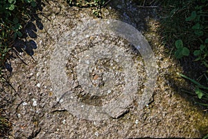 Texture of grey stone framed by grass.