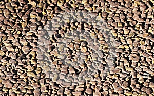 Texture of the ground with scree