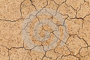 Texture of grungy dry cracking parched earth. Cracked soil. Concept of drought