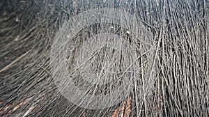 The texture of the hair on a broom fibers are straight and a lot. Macro photo