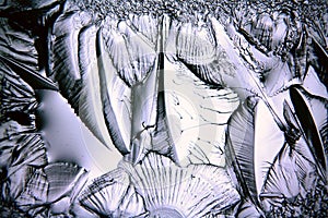 Texture of ice, frozen water