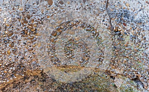 Texture of inside cement pipes.