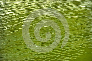 Texture of IOR Lake waters