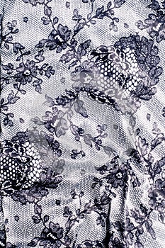 Texture lace fabric. lace on white background studio