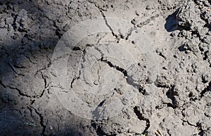 Texture of land dried up by drought, the ground cracks background with grunge